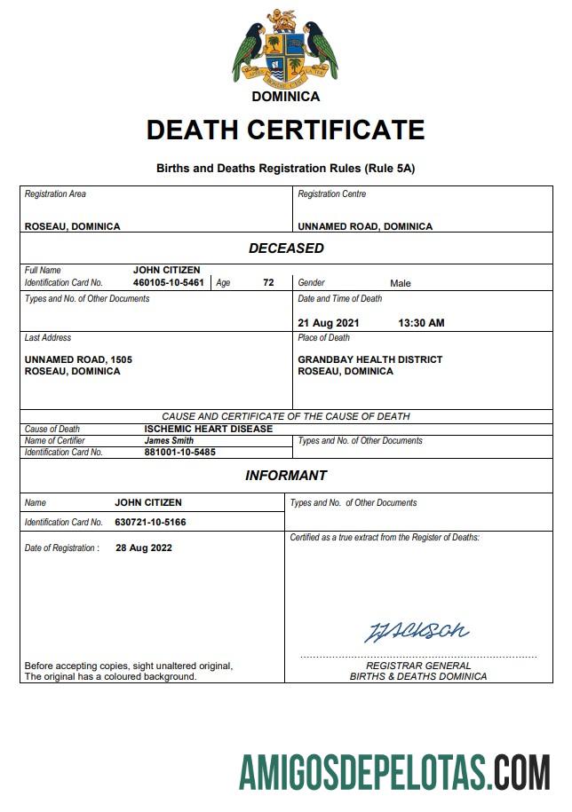 Realistis Dominika vital record kematian sertifikat Word and PDF templat