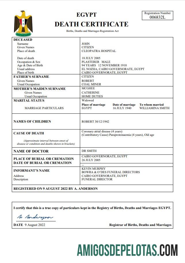 Premium Mesir vital record kematian sertifikat Word and PDF templat