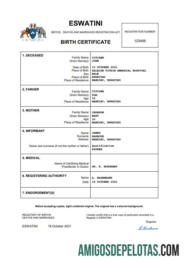 Premium Eswatini kelahiran sertifikat Word and PDF templat