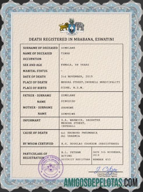 Realistis Eswatini vital record kematian sertifikat PSD templat