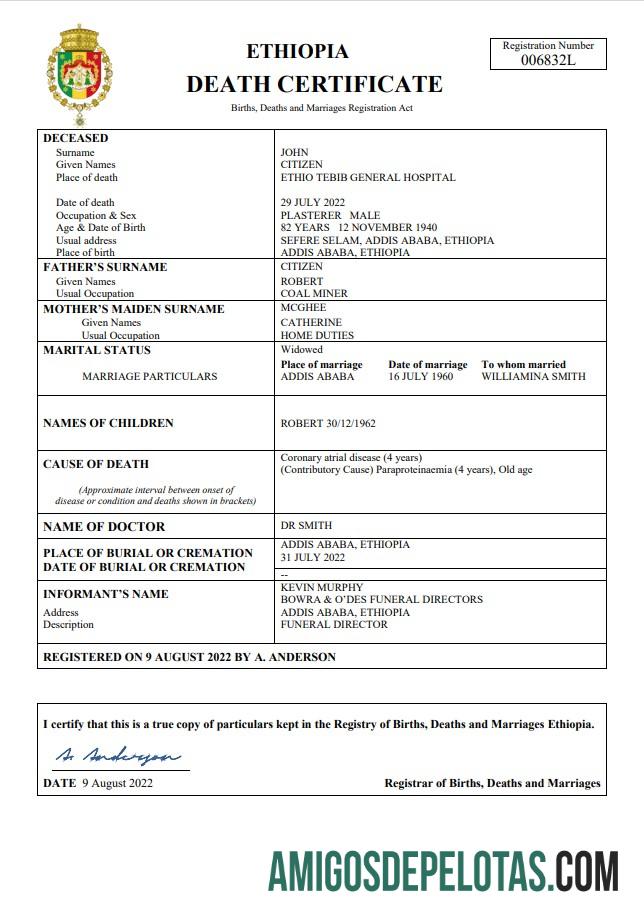 Realistis Etiopia vital record kematian sertifikat Word and PDF templat