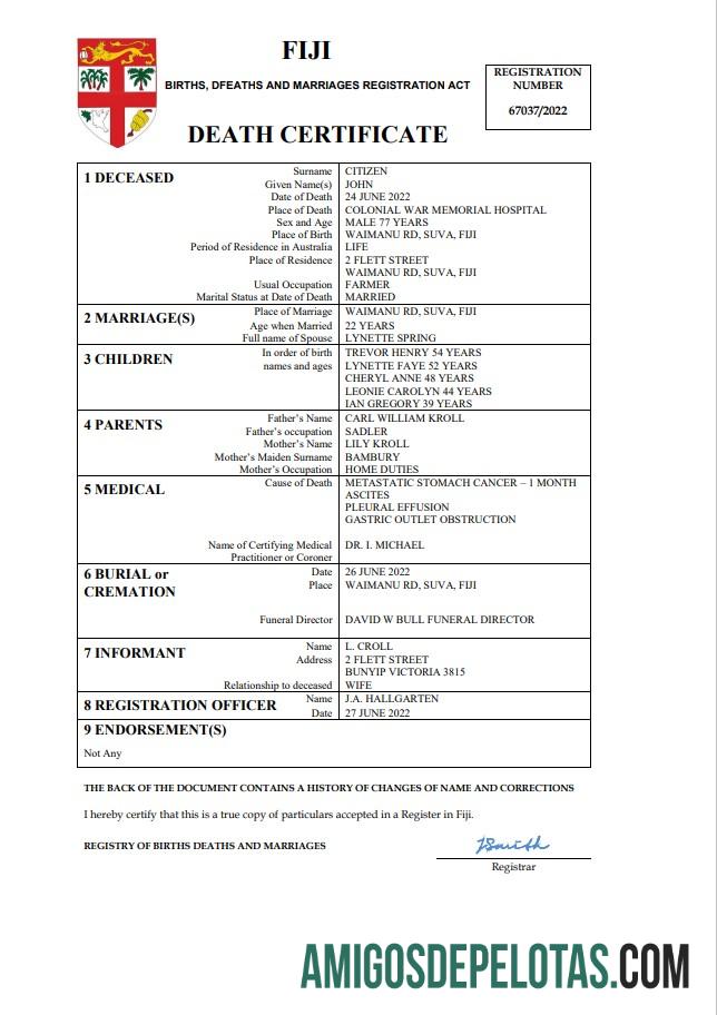 Berkualitas Fiji vital record kematian sertifikat Word and PDF templat