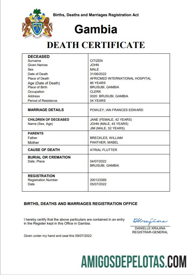 Gambia vital record kematian sertifikat Word and PDF templat