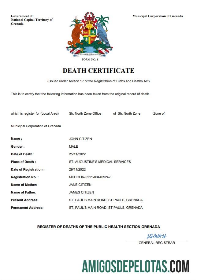 Profesional Grenada vital record kematian sertifikat Word and PDF templat