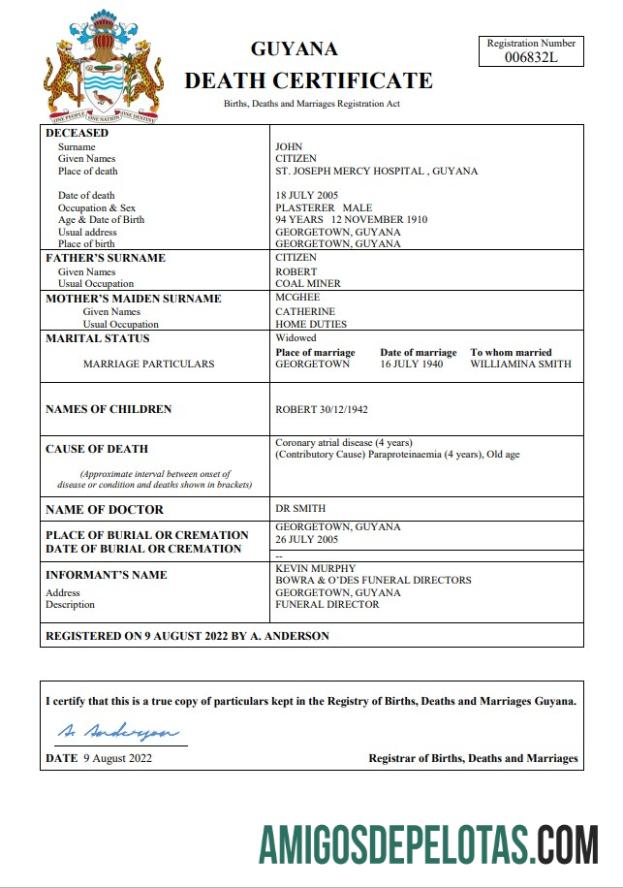 Realistis Guyana kematian sertifikat Word and PDF templat