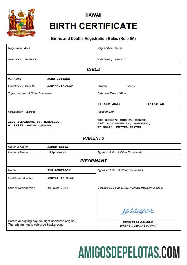Realistis Hawaii kelahiran sertifikat Word and PDF templat