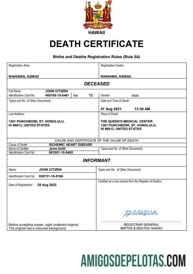 Berkualitas Hawaii kematian sertifikat Word and PDF templat