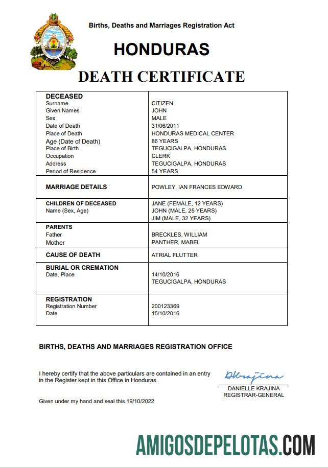 Realistis Honduras vital record kematian sertifikat Word and PDF templat