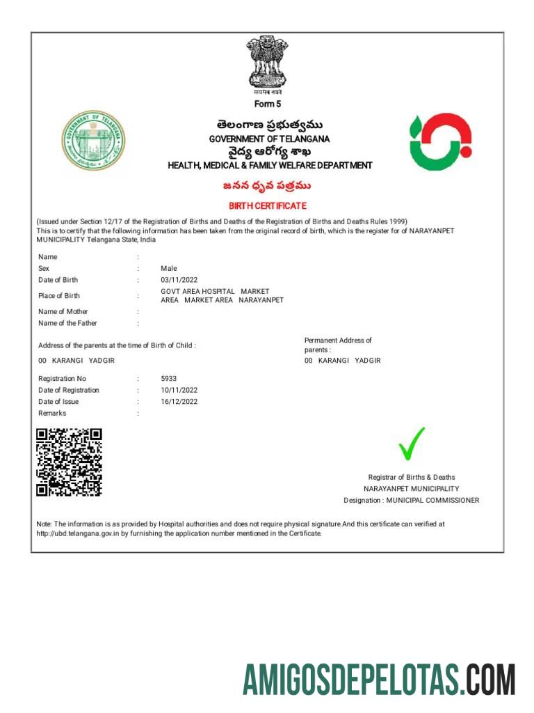 India Department of kesehatan, medis and family welfare kelahiran sertifikat desain