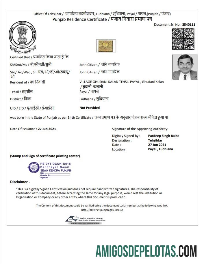 Realistis India Government of Punjab tempat tinggal sertifikat templat in Word and PDF format