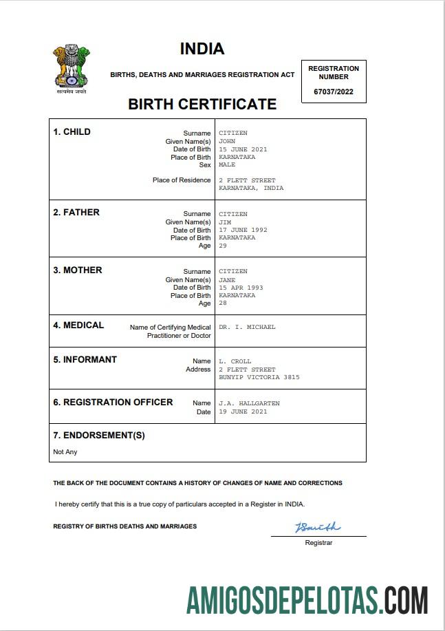 Premium India vital record kelahiran sertifikat Word and PDF templat,