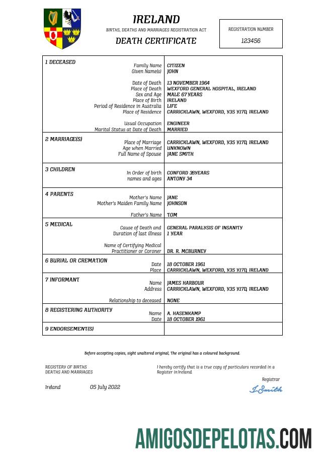Berkualitas Irlandia vital record kematian sertifikat Word and PDF templat