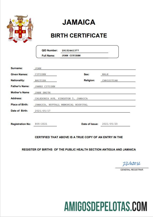 Profesional Jamaika vital record kelahiran sertifikat Word and PDF templat