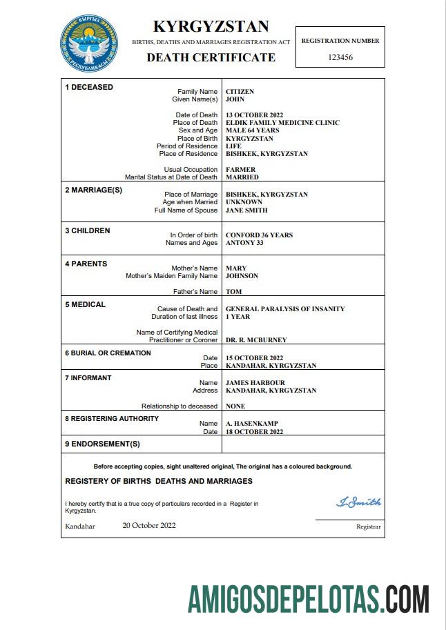 Profesional Kirgizstan kematian sertifikat Word and PDF templat