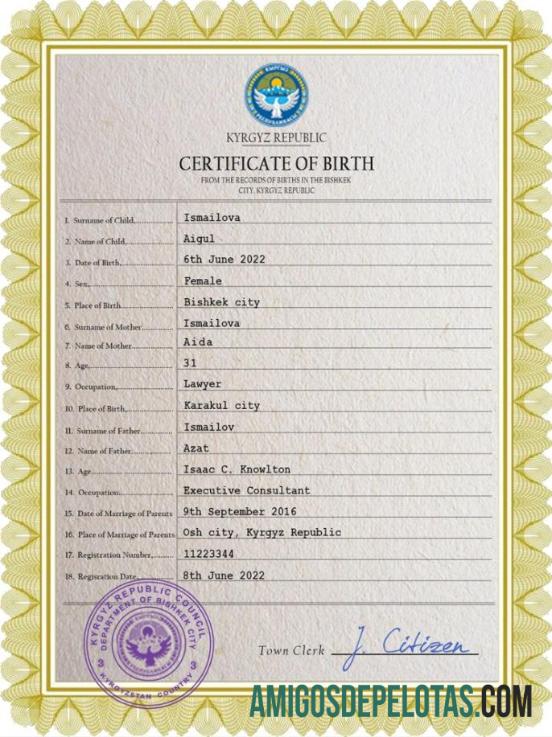 Profesional Kirgizstan vital record kelahiran sertifikat PSD templat