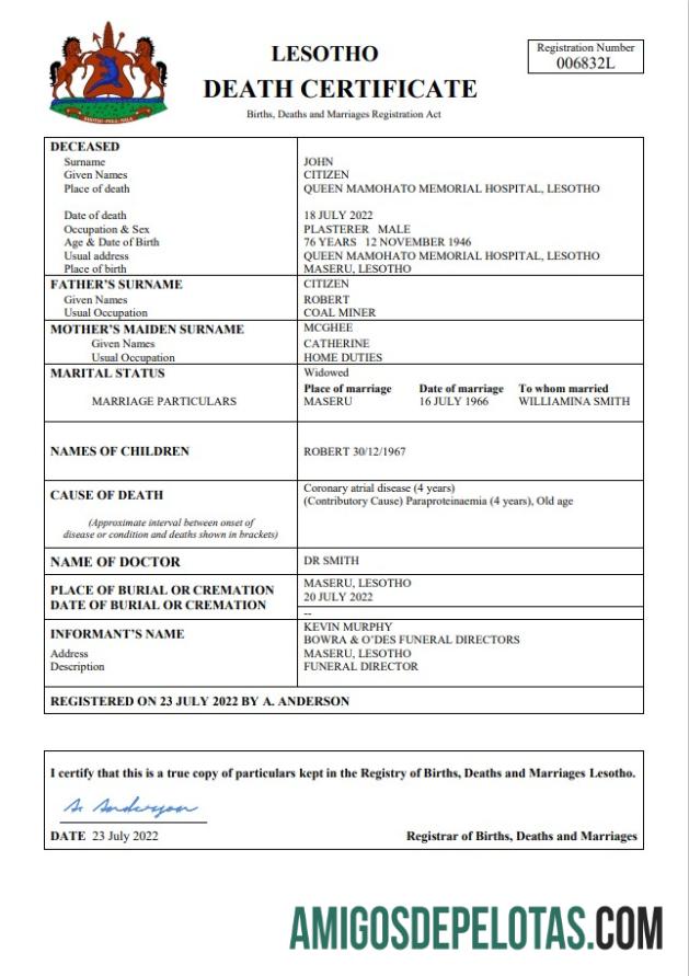 Profesional Lesotho vital record kematian sertifikat Word and PDF templat