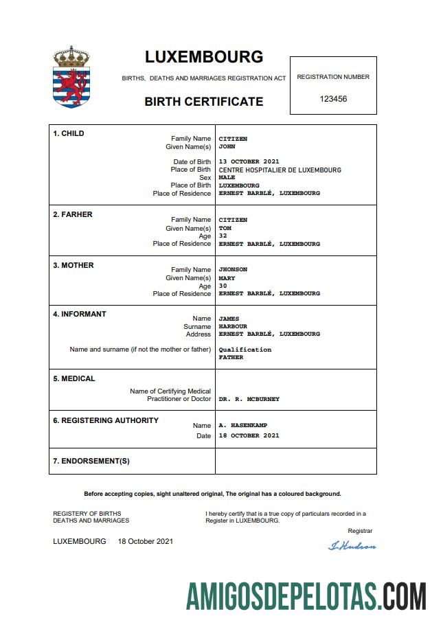 Profesional Luksemburg kelahiran sertifikat Word and PDF templat