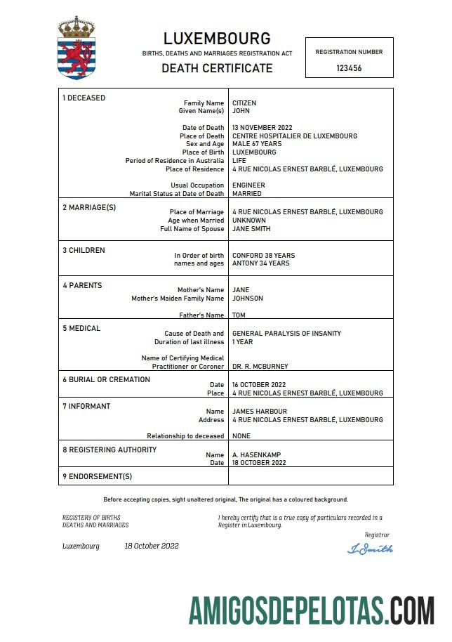 Profesional Luksemburg kematian sertifikat Word and PDF templat