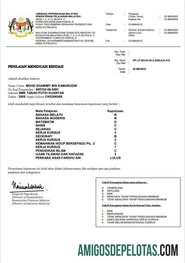 Premium Malaysia Ministry of Education sertifikat templat in Word and PDF format