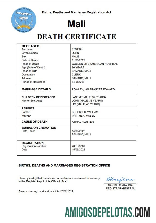 Berkualitas Mali vital record kematian sertifikat Word and PDF templat
