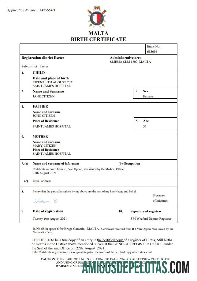 Realistis Malta kelahiran sertifikat Word and PDF templat
