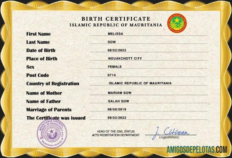 Berkualitas Mauritania kelahiran sertifikat PSD templat