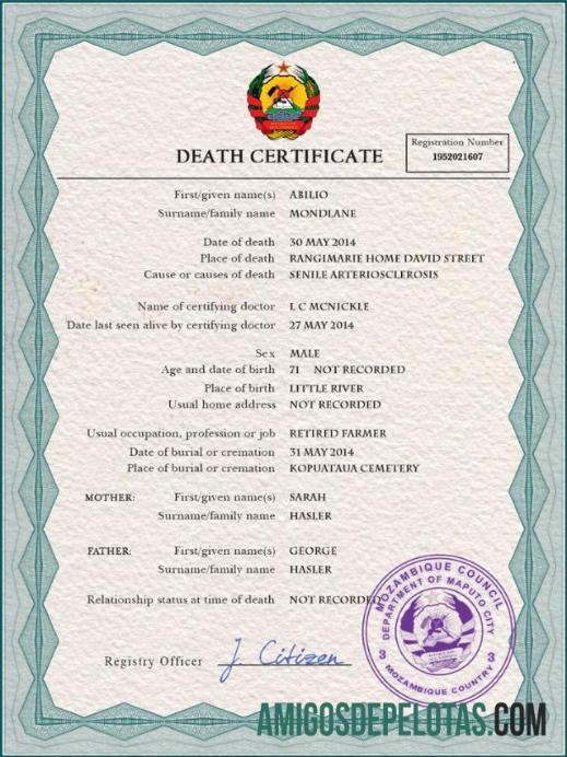 Realistis Mozambik vital record kematian sertifikat PSD templat
