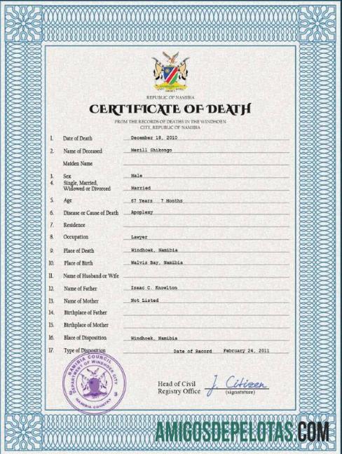 Profesional Namibia vital record kematian sertifikat PSD templat