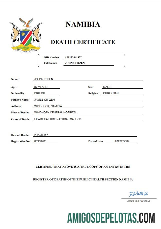 Realistis Namibia vital record kematian sertifikat Word and PDF templat