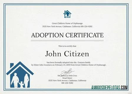 Baru York Great children home of orphanage adoption sertifikat sampel