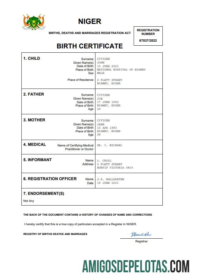 Realistis Niger kelahiran sertifikat Word and PDF templat