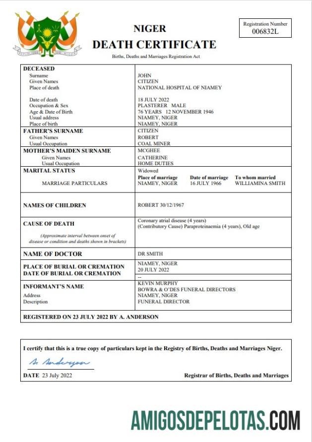 Premium Niger kematian sertifikat Word and PDF templat