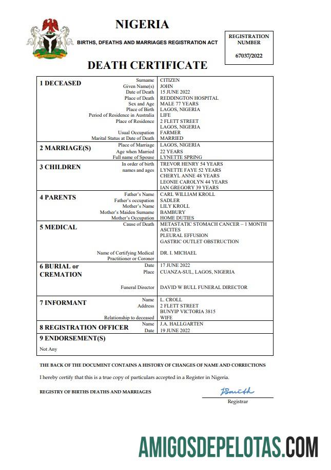 Berkualitas Nigeria vital record kematian sertifikat Word and PDF templat