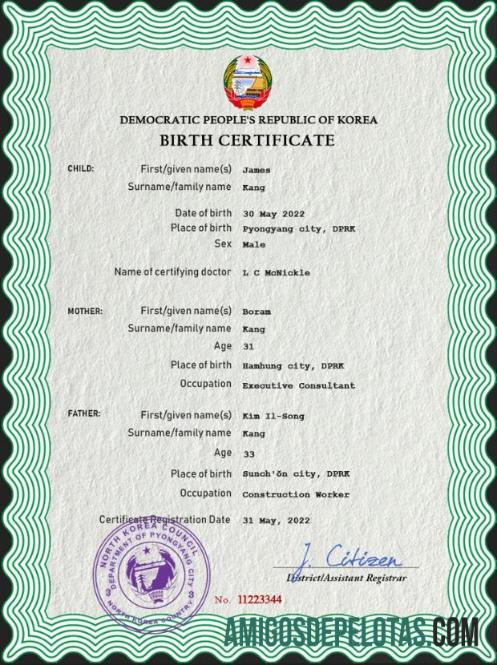 Berkualitas Korea Utara kelahiran sertifikat PSD templat