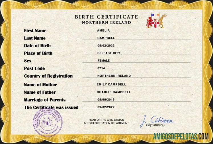Premium Irlandia Utara vital record kelahiran sertifikat PSD templat