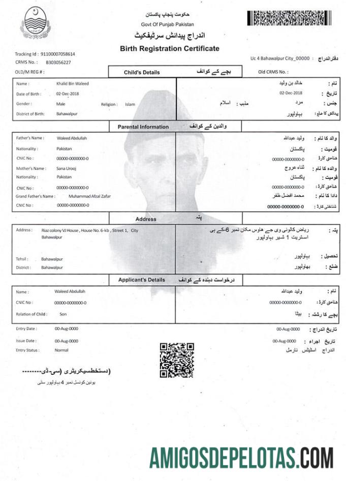 Pakistan kelahiran pendaftaran sertifikat makering