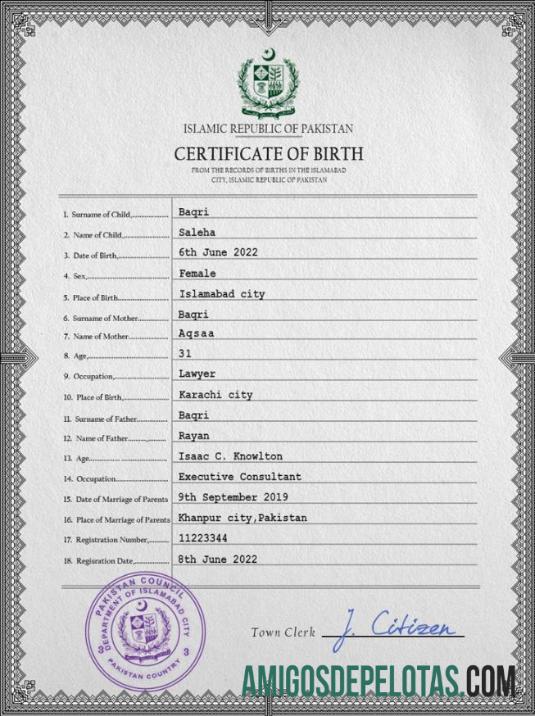 Berkualitas Pakistan vital record kelahiran sertifikat PSD templat