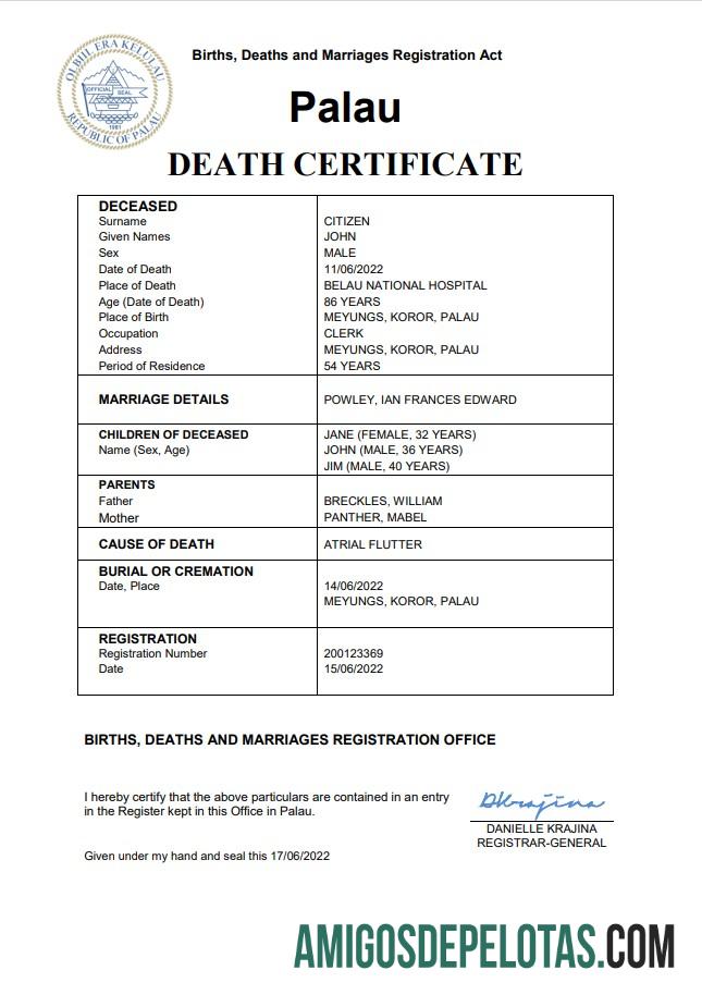 Realistis Palau vital record kematian sertifikat Word and PDF templat