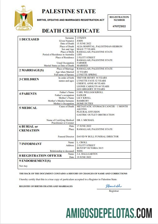 Berkualitas Palestina vital record kematian sertifikat Word and PDF templat