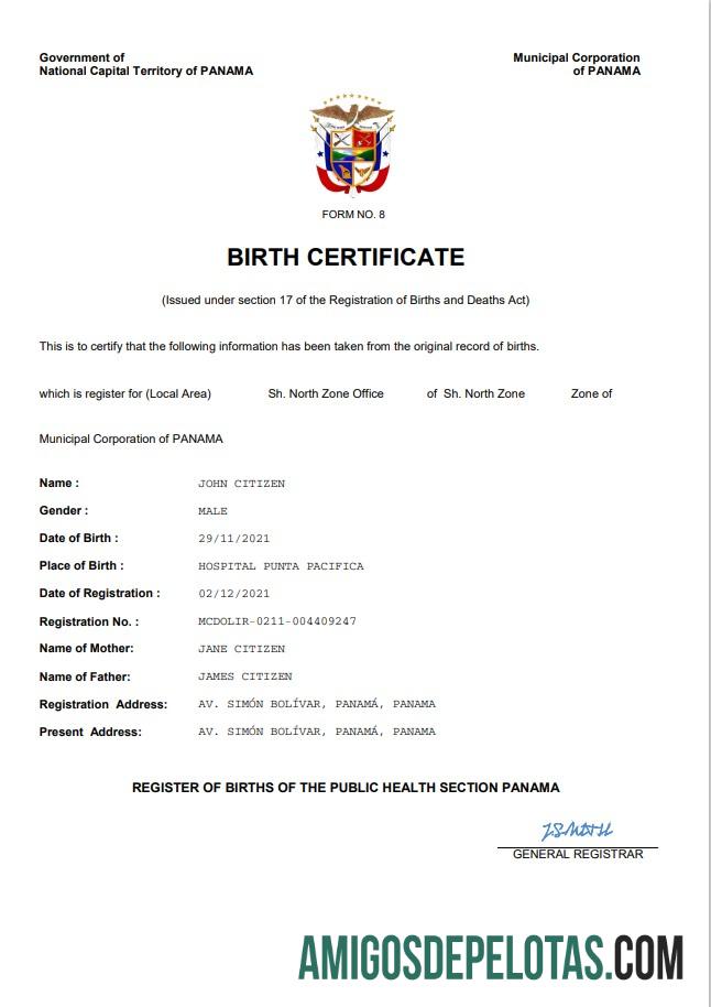 Profesional Panama kelahiran sertifikat Word and PDF templat