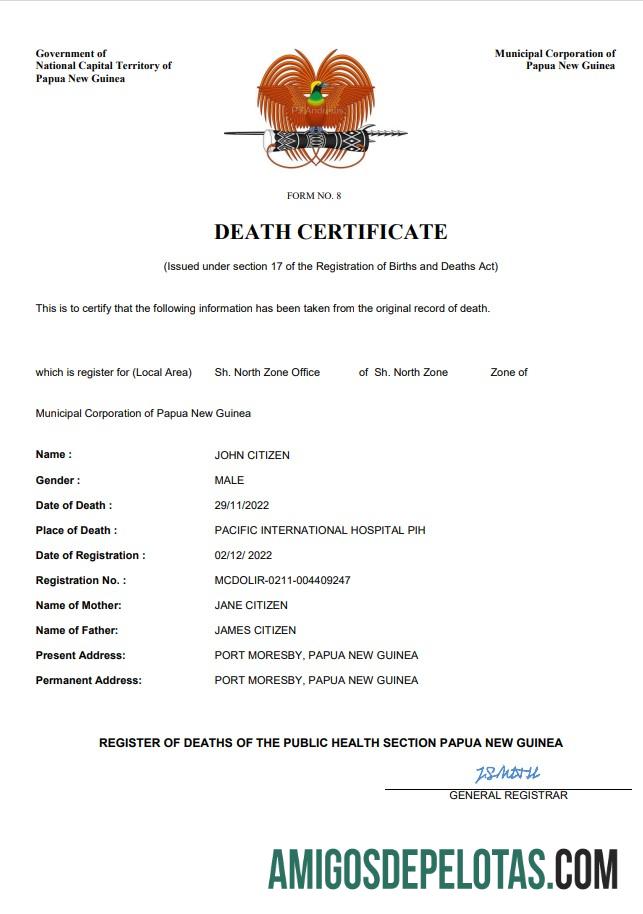 Profesional Papua Nugini vital record kematian sertifikat Word and PDF templat