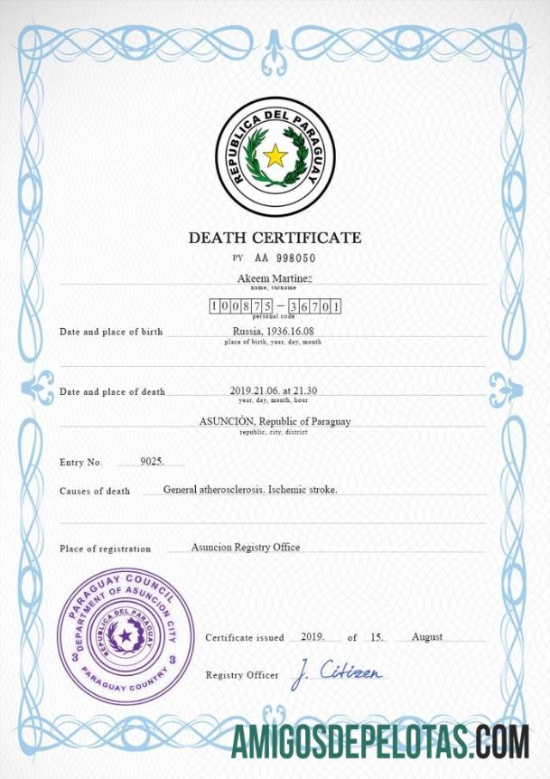 Profesional Paraguay vital record kematian sertifikat PSD templat