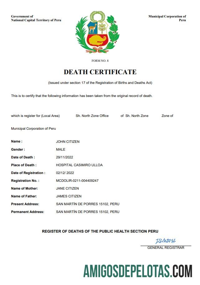 Profesional Peru vital record kematian sertifikat Word and PDF templat
