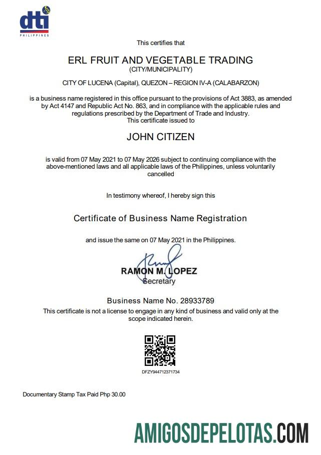 Filipina Department of Trade and Industry (DTI) private interprenour templat