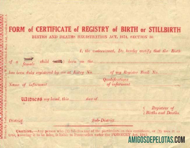 Registrate of Births and Deaths sertifikat of kelahiran or stillbirth pratinjau