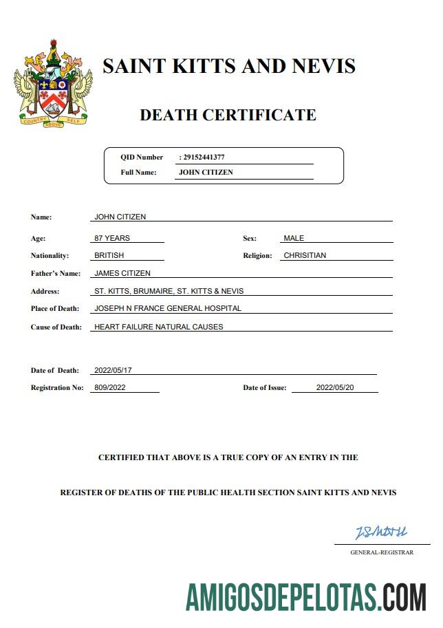 Berkualitas Saint Kitts and Nevis vital record kematian sertifikat Word and PDF templat