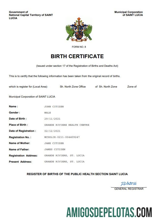 Dapat Diedit Saint Lucia kelahiran sertifikat Word and PDF templat