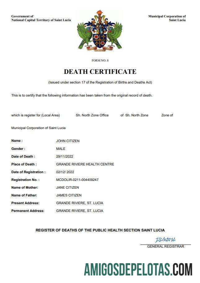 Realistis Saint Lucia kematian sertifikat Word and PDF templat