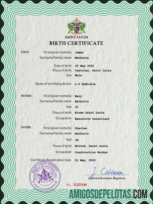 Realistis Saint Lucia vital record kelahiran sertifikat PSD templat