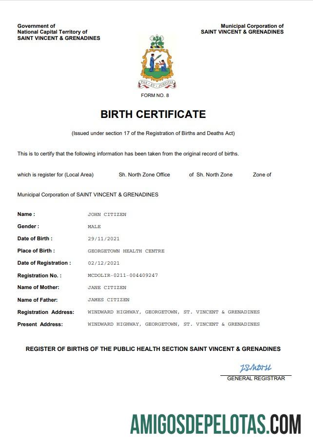Realistis Saint Vincent & Grenadines vital record kelahiran sertifikat Word and PDF templat
